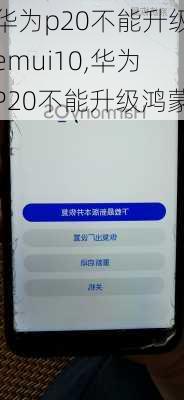 华为p20不能升级emui10,华为P20不能升级鸿蒙