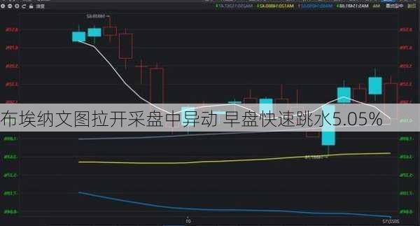 布埃纳文图拉开采盘中异动 早盘快速跳水5.05%