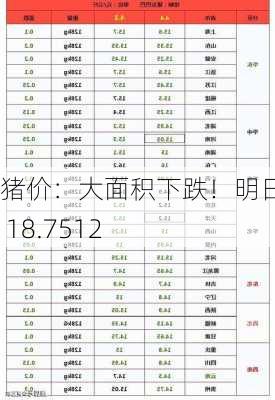 猪价：大面积下跌！明日预测 18.7512