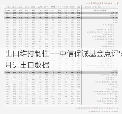 出口维持韧性——中信保诚基金点评5月进出口数据