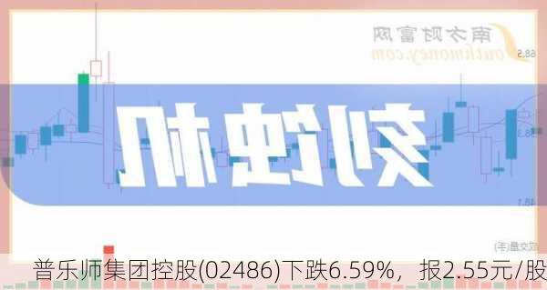 普乐师集团控股(02486)下跌6.59%，报2.55元/股