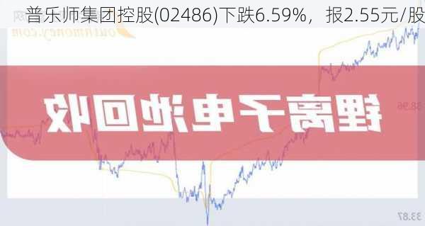 普乐师集团控股(02486)下跌6.59%，报2.55元/股