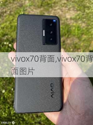 vivox70背面,vivox70背面图片