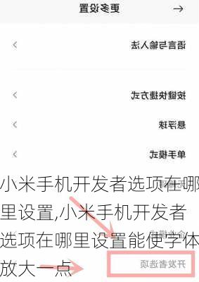 小米手机开发者选项在哪里设置,小米手机开发者选项在哪里设置能使字体放大一点