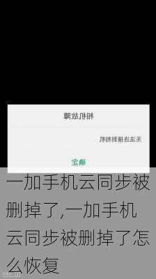 一加手机云同步被删掉了,一加手机云同步被删掉了怎么恢复