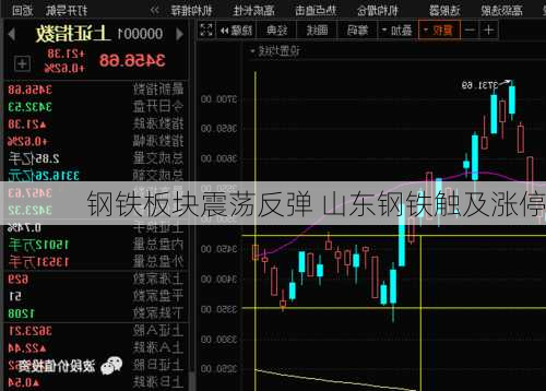 钢铁板块震荡反弹 山东钢铁触及涨停