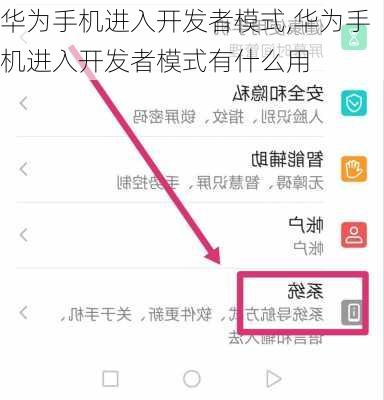 华为手机进入开发者模式,华为手机进入开发者模式有什么用