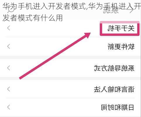 华为手机进入开发者模式,华为手机进入开发者模式有什么用