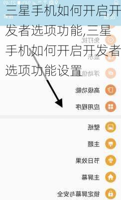 三星手机如何开启开发者选项功能,三星手机如何开启开发者选项功能设置