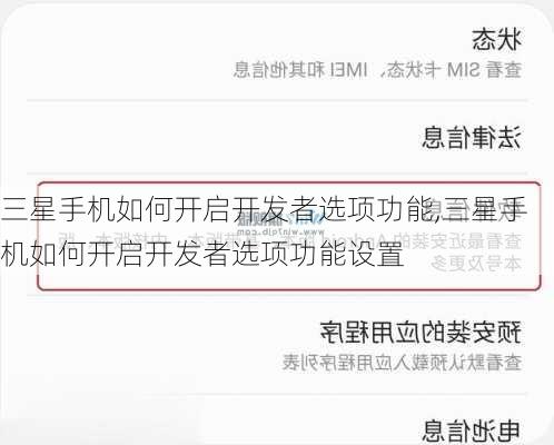 三星手机如何开启开发者选项功能,三星手机如何开启开发者选项功能设置