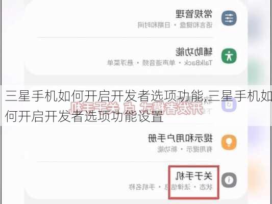 三星手机如何开启开发者选项功能,三星手机如何开启开发者选项功能设置