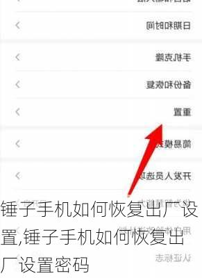 锤子手机如何恢复出厂设置,锤子手机如何恢复出厂设置密码
