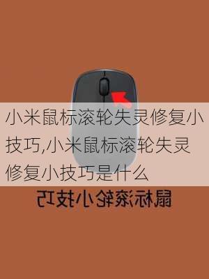 小米鼠标滚轮失灵修复小技巧,小米鼠标滚轮失灵修复小技巧是什么