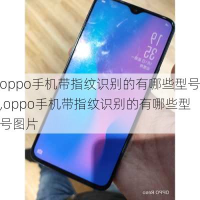 oppo手机带指纹识别的有哪些型号,oppo手机带指纹识别的有哪些型号图片