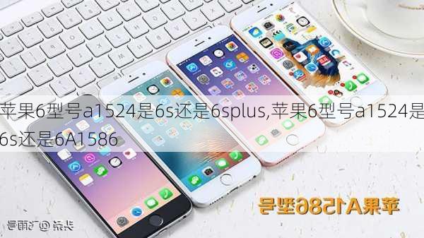 苹果6型号a1524是6s还是6splus,苹果6型号a1524是6s还是6A1586