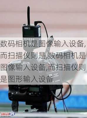 数码相机是图像输入设备,而扫描仪则是,数码相机是图像输入设备,而扫描仪则是图形输入设备