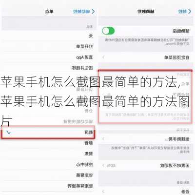 苹果手机怎么截图最简单的方法,苹果手机怎么截图最简单的方法图片