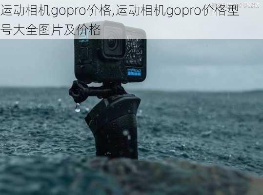 运动相机gopro价格,运动相机gopro价格型号大全图片及价格