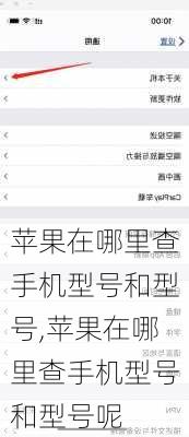 苹果在哪里查手机型号和型号,苹果在哪里查手机型号和型号呢