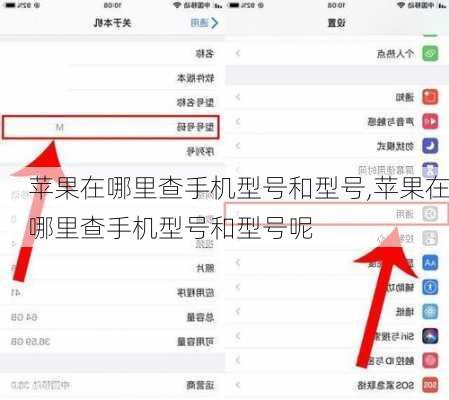苹果在哪里查手机型号和型号,苹果在哪里查手机型号和型号呢