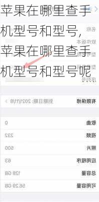 苹果在哪里查手机型号和型号,苹果在哪里查手机型号和型号呢