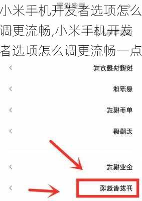 小米手机开发者选项怎么调更流畅,小米手机开发者选项怎么调更流畅一点