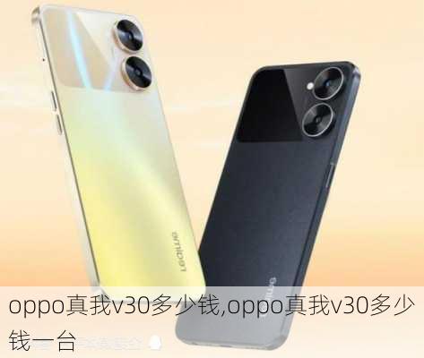 oppo真我v30多少钱,oppo真我v30多少钱一台