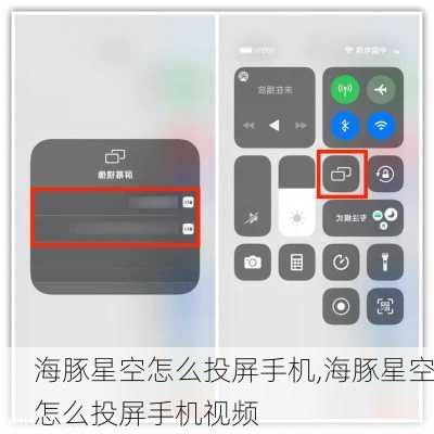 海豚星空怎么投屏手机,海豚星空怎么投屏手机视频