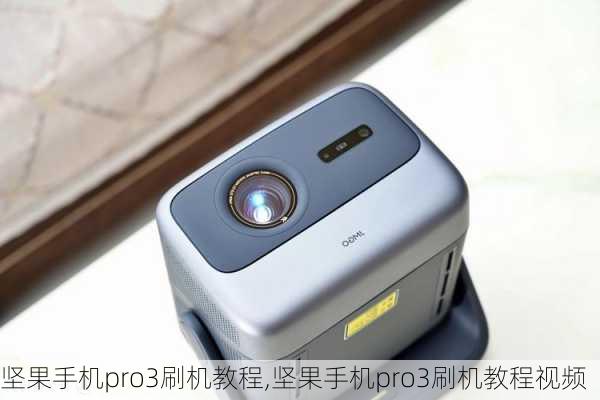 坚果手机pro3刷机教程,坚果手机pro3刷机教程视频