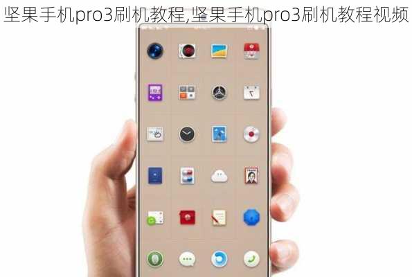 坚果手机pro3刷机教程,坚果手机pro3刷机教程视频