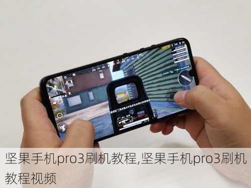 坚果手机pro3刷机教程,坚果手机pro3刷机教程视频