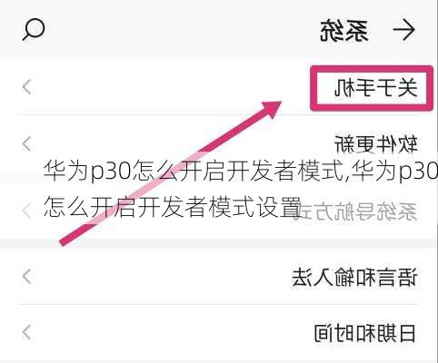 华为p30怎么开启开发者模式,华为p30怎么开启开发者模式设置