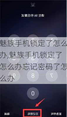 魅族手机锁定了怎么办,魅族手机锁定了怎么办忘记密码了怎么办