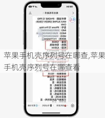 苹果手机壳序列号在哪查,苹果手机壳序列号在哪查看