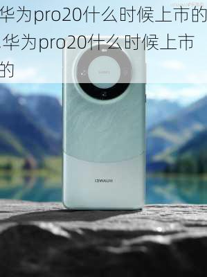 华为pro20什么时候上市的,华为pro20什么时候上市的