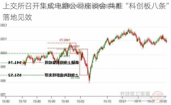 上交所召开集成电路公司座谈会 共推“科创板八条”落地见效