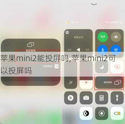 苹果mini2能投屏吗,苹果mini2可以投屏吗