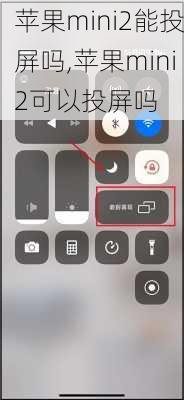 苹果mini2能投屏吗,苹果mini2可以投屏吗