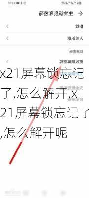 x21屏幕锁忘记了,怎么解开,x21屏幕锁忘记了,怎么解开呢