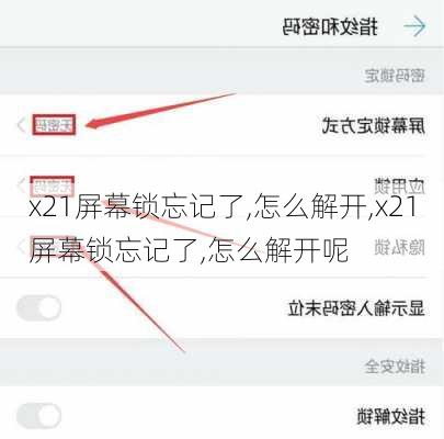 x21屏幕锁忘记了,怎么解开,x21屏幕锁忘记了,怎么解开呢