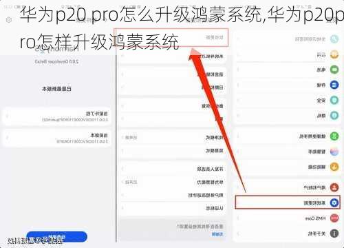 华为p20 pro怎么升级鸿蒙系统,华为p20pro怎样升级鸿蒙系统