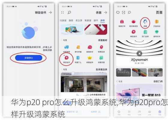 华为p20 pro怎么升级鸿蒙系统,华为p20pro怎样升级鸿蒙系统
