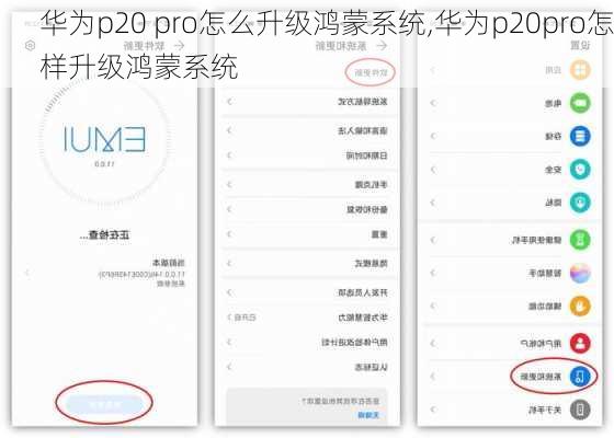 华为p20 pro怎么升级鸿蒙系统,华为p20pro怎样升级鸿蒙系统