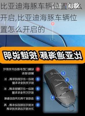 比亚迪海豚车辆位置怎么开启,比亚迪海豚车辆位置怎么开启的