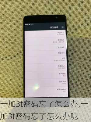一加3t密码忘了怎么办,一加3t密码忘了怎么办呢