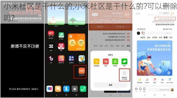 小米社区是干什么的,小米社区是干什么的?可以删除吗?