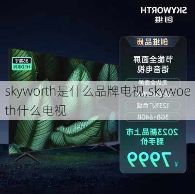 skyworth是什么品牌电视,skywoeth什么电视