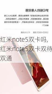 红米note5双卡吗,红米note5双卡双待双通