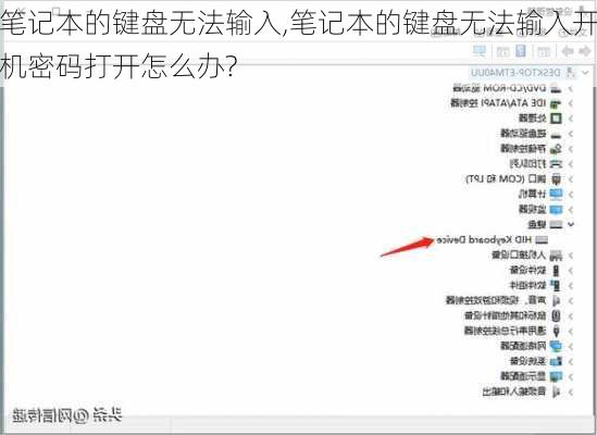 笔记本的键盘无法输入,笔记本的键盘无法输入开机密码打开怎么办?