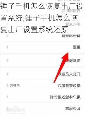 锤子手机怎么恢复出厂设置系统,锤子手机怎么恢复出厂设置系统还原